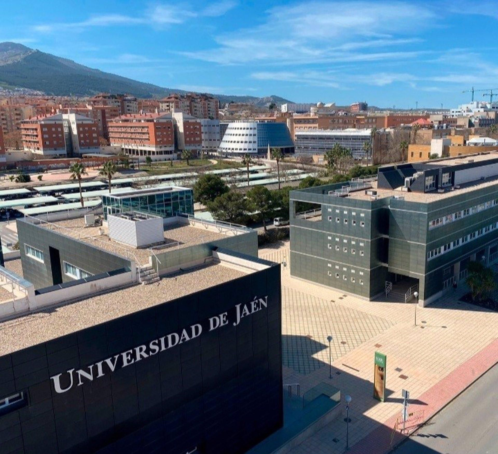 Universidad de Jaén.