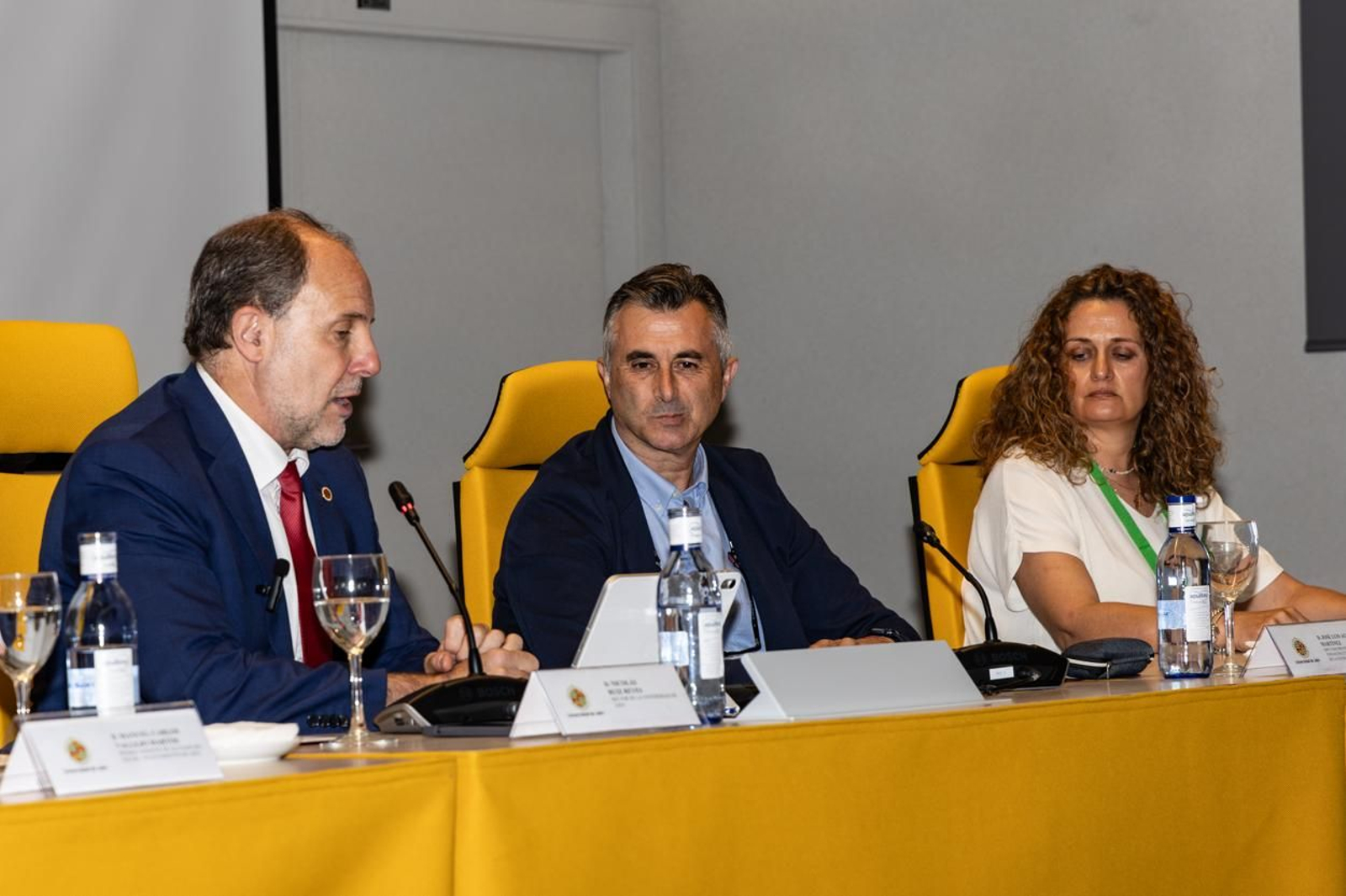 Presentación del Congreso Internacional de Dirección e Ingeniería de Proyectos