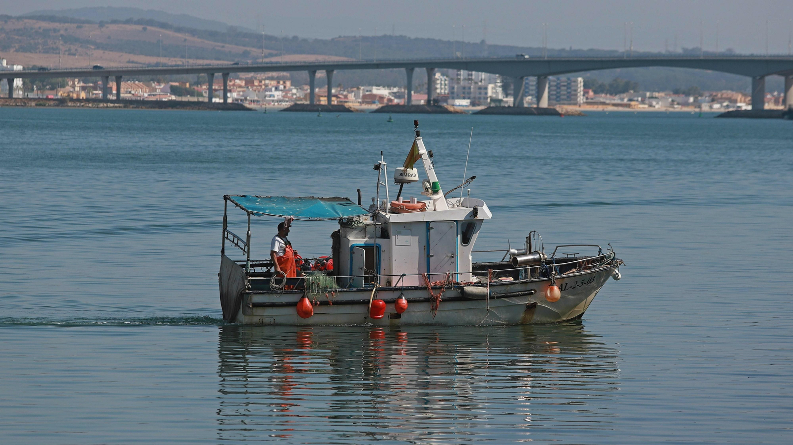 El alga invasora ahoga la pesca en Algeciras