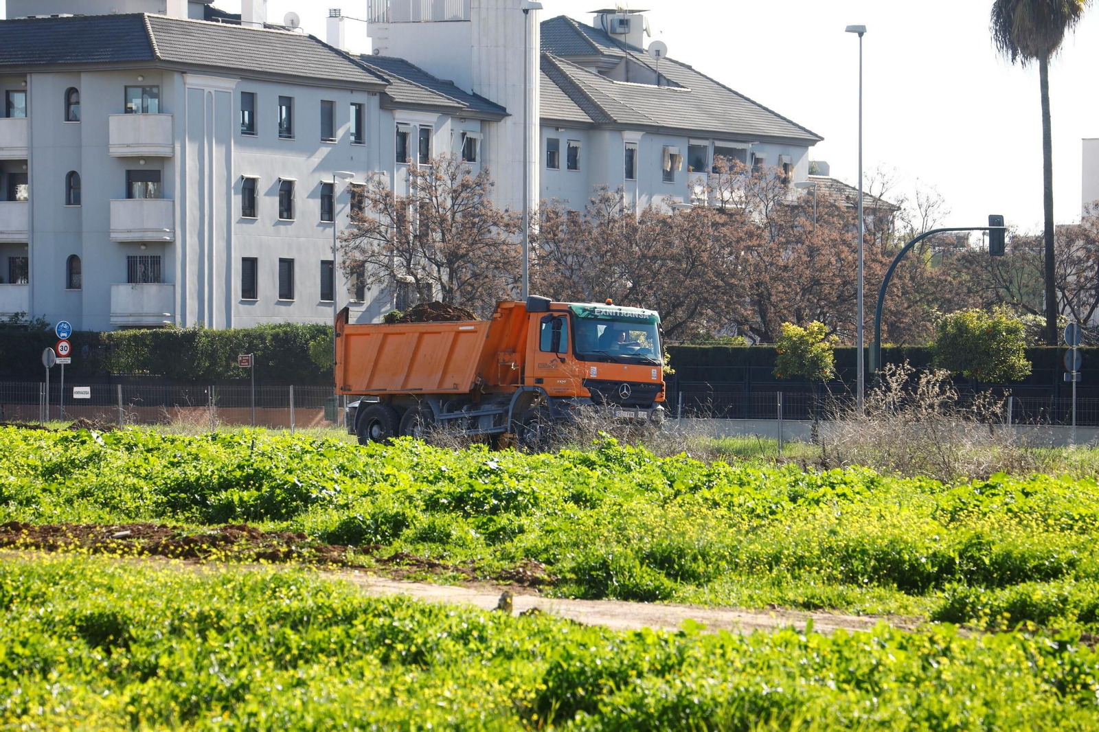 Así avanzan las obras del nuevo parque de la Arruzafilla, en imágenes