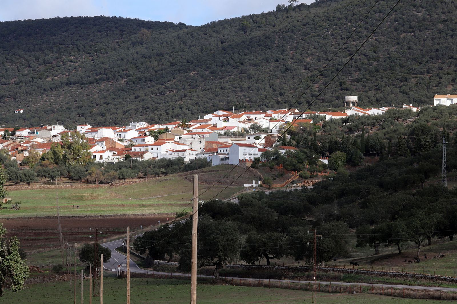 Localidad de Cañaveral de León