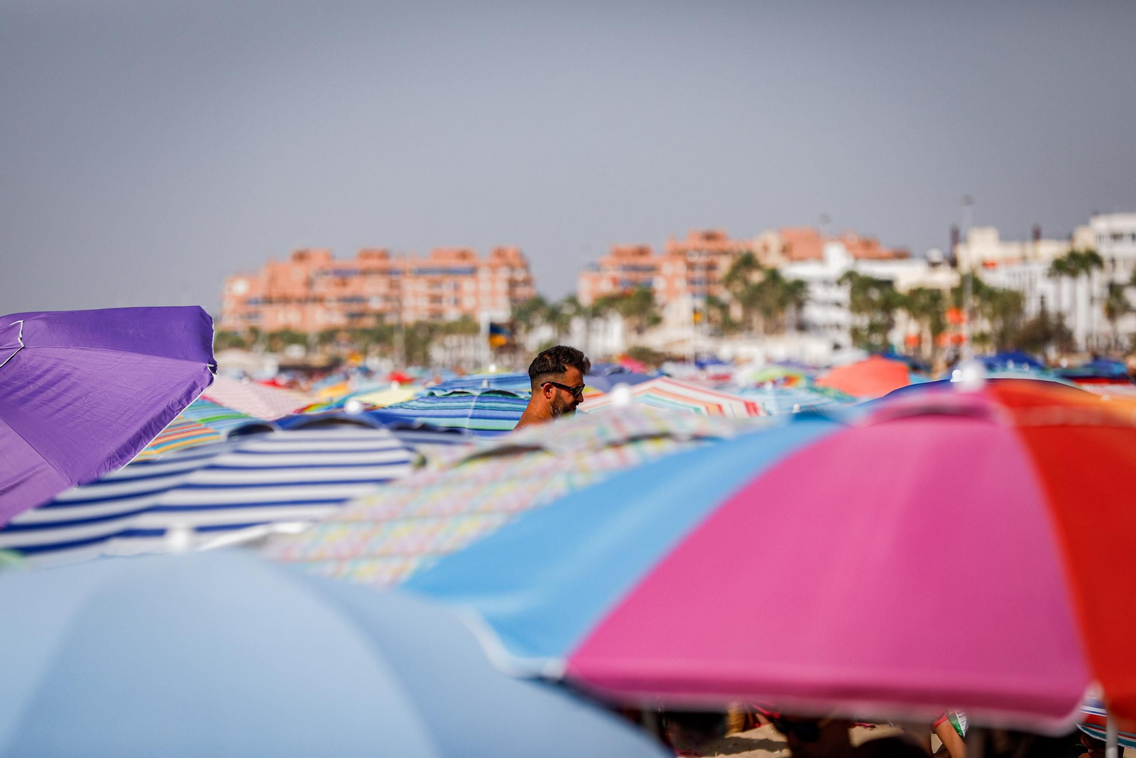 Imágenes de la segunda jornada del ciclo inicial de las Carreras de Caballos de Sanlúcar 2025