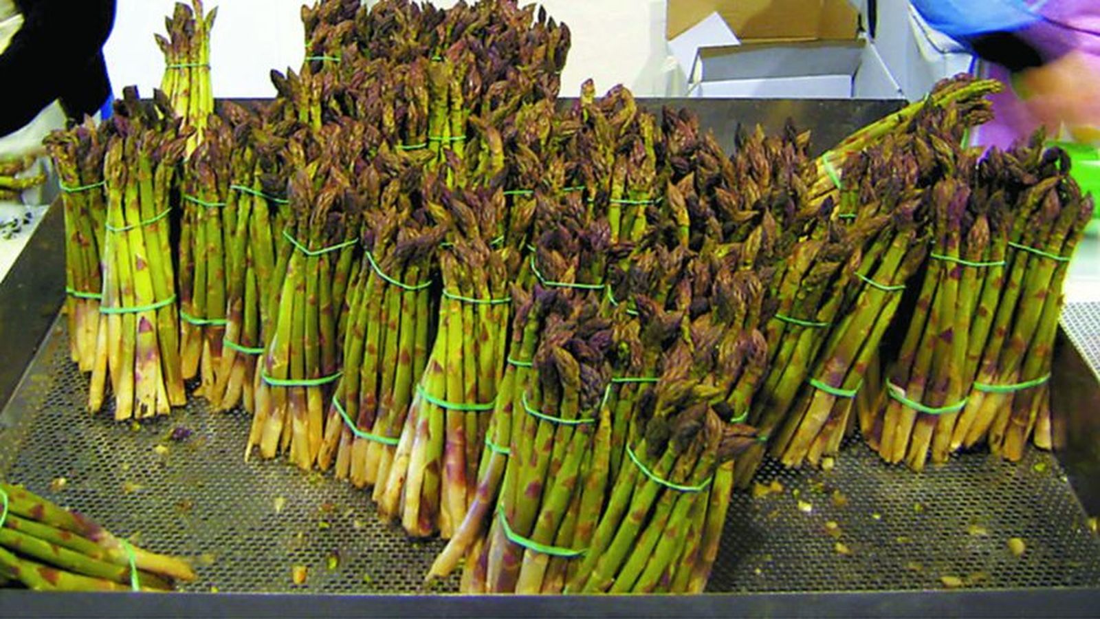 Espárragos verdes | Imagen de archivo