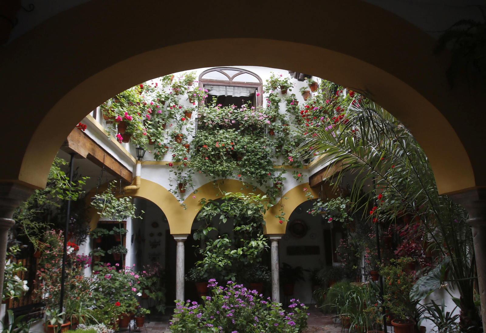 Los Patios de Córdoba en tiempos de crisis: Duque de la Victoria, 3