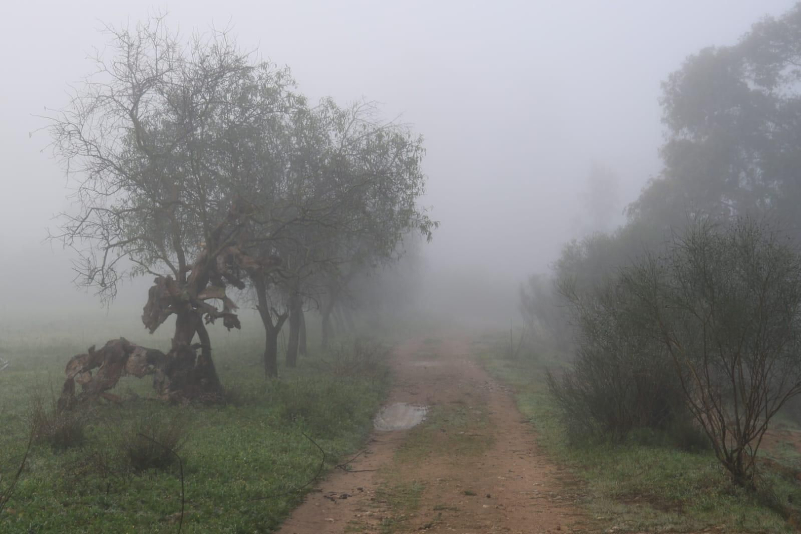 Huelva se tiñe de blanco con la densa niebla de este jueves: espectaculares imágenes de la provincia a primera hora de la mañana