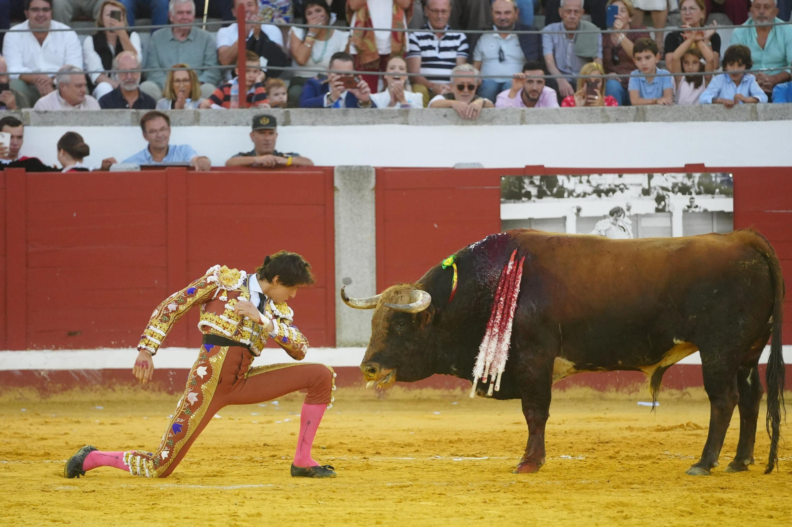 El triunfo de Rocío Romero, Manzanares y Roca Rey en la plaza de toros Pozoblanco, en imágenes