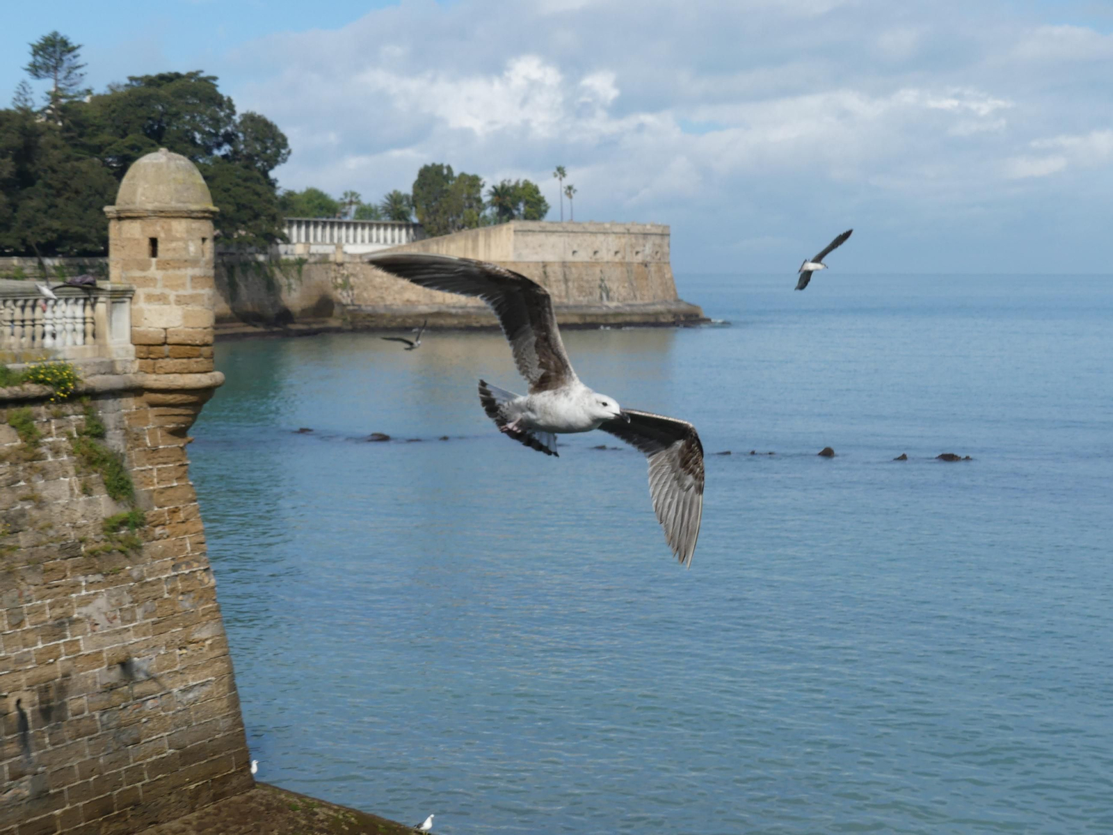 La luz de Cádiz vista por Hans