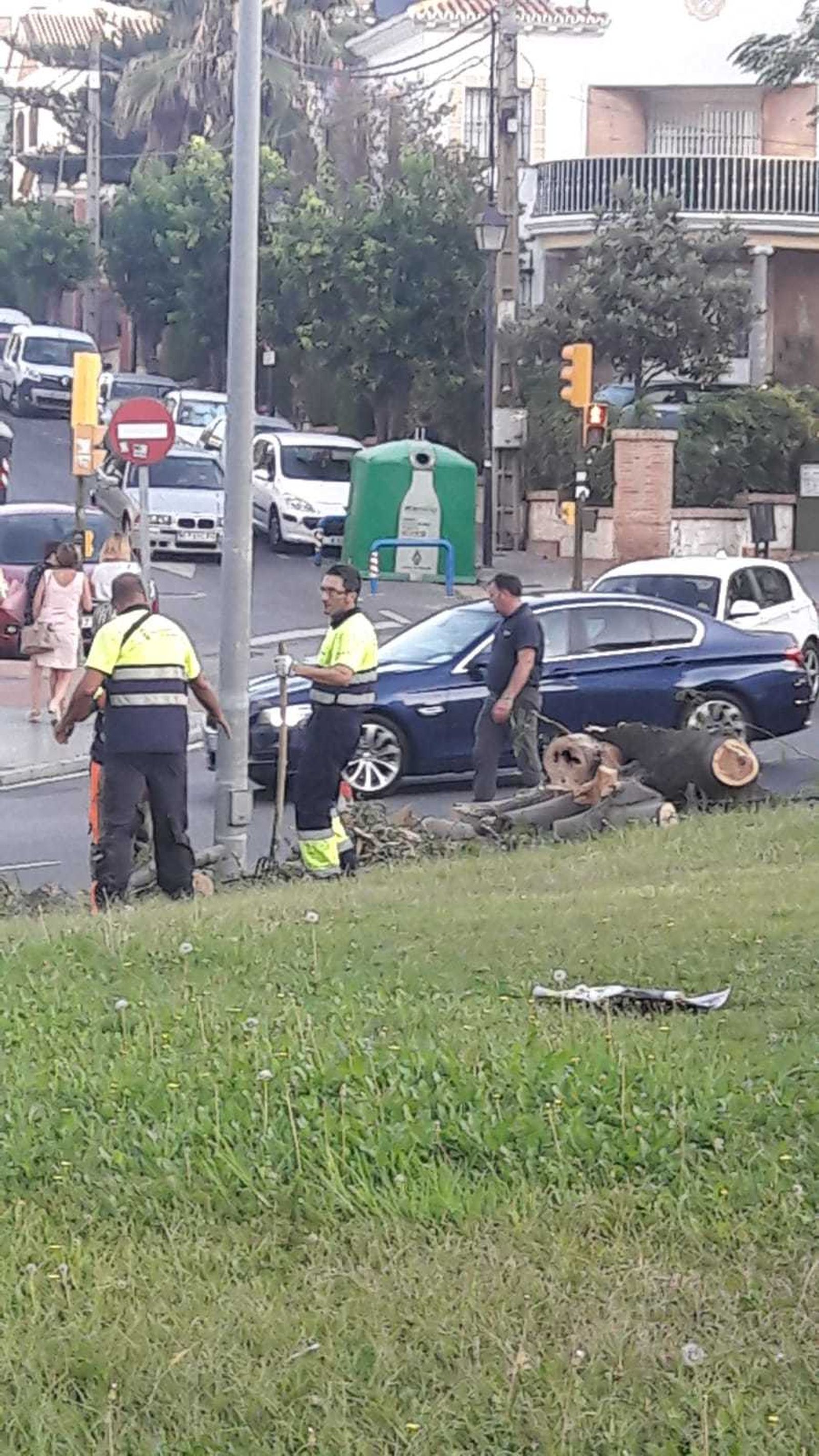 Un árbol se desploma en la rotonda de Juan Ramón Jiménez.