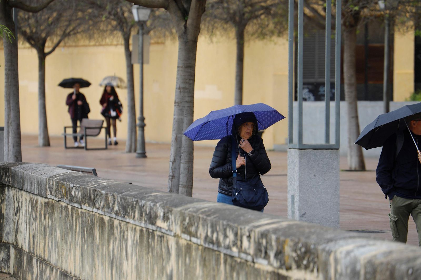 El paso de la borrasca Nuria por Córdoba, en imágenes