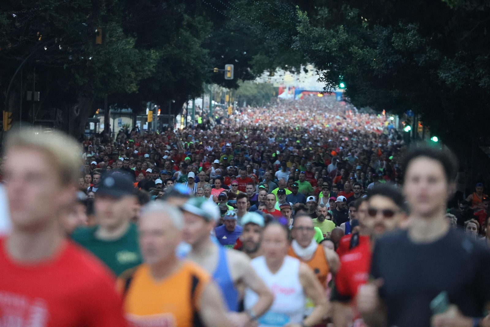 Las mejores fotos de la Maratón de Málaga 2024