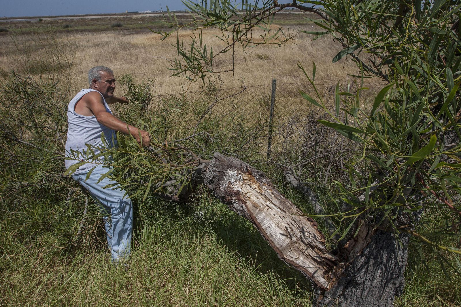 Francisco Ganfornina, junto al árbol que está tirando la alambrada.