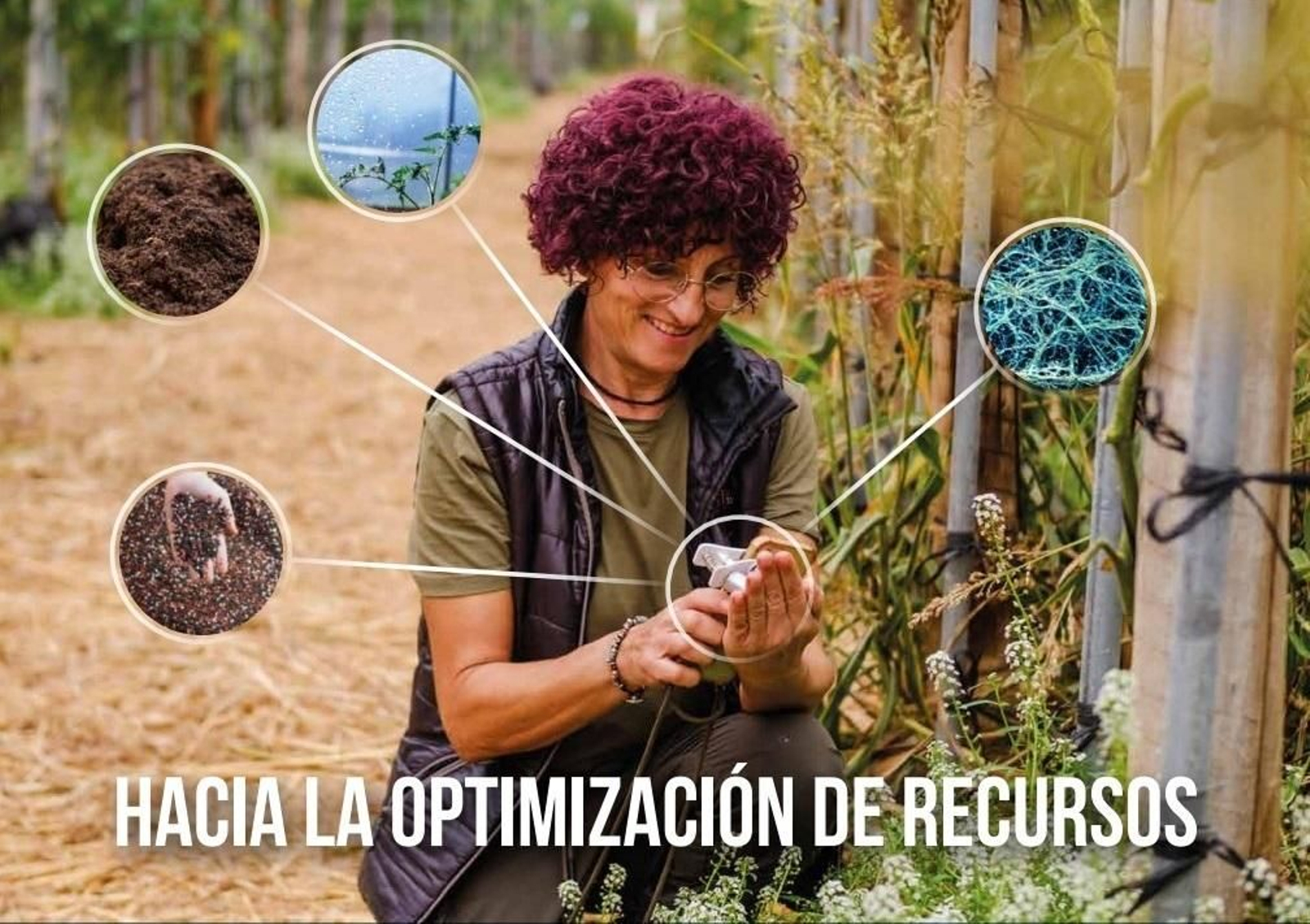 Cartel del V Simposio de Agricultura Ecológica.