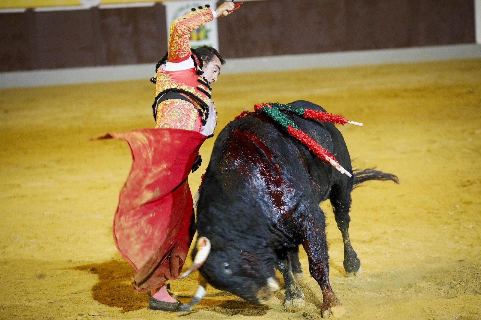 Corrida de toros Berja con un toro indultado, en imágenes