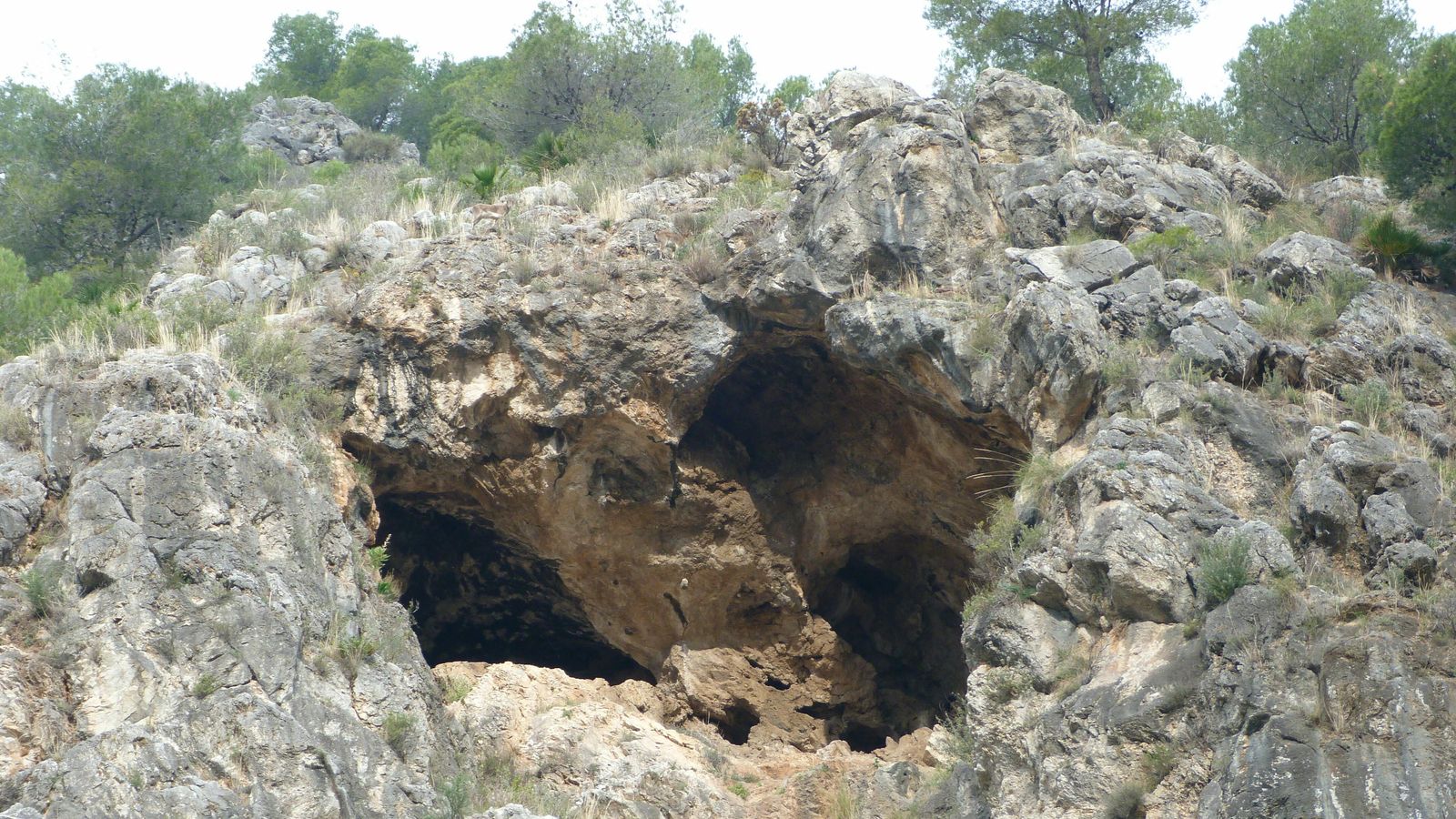 En el entorno del río Higuerón podemos encontrar numerosas cuevas donde esperar que pase la Navidad.