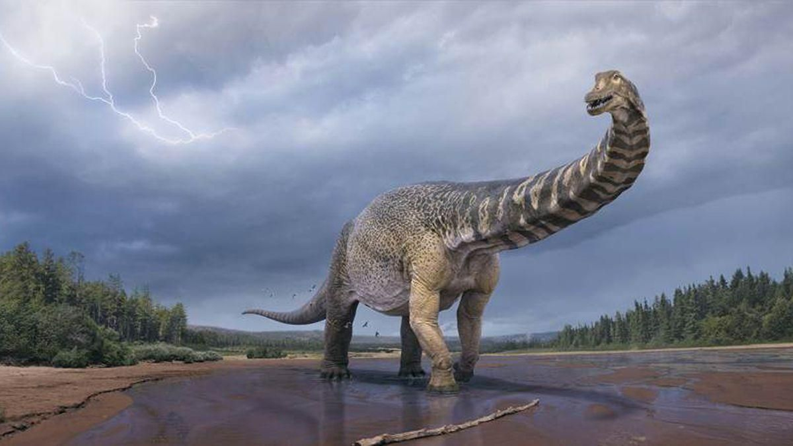 Recreación de un titanosaurio