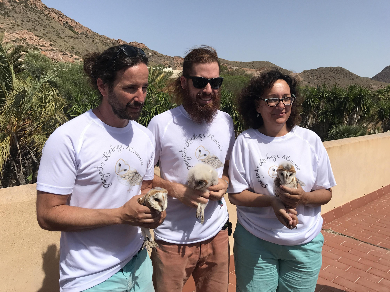 Fotogalería de las nuevas crías de lechuza en Rodalquilar