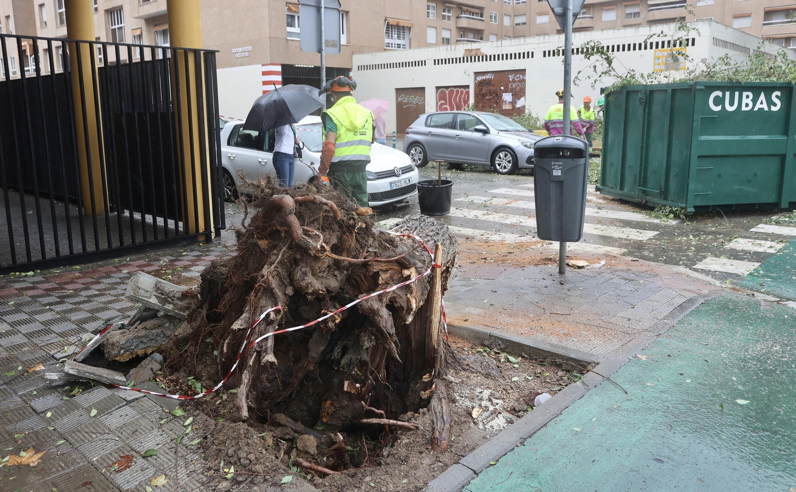 Temporal de lluvia y viento en Sevilla