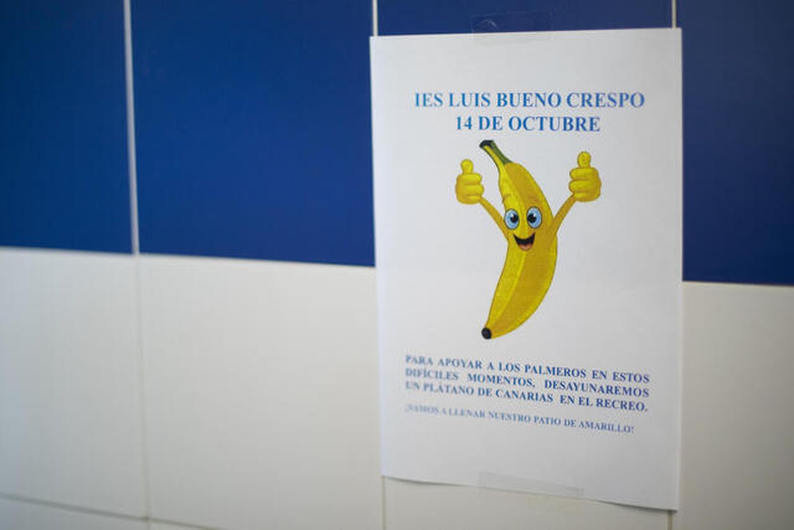 Un pequeño gesto de solidaridad