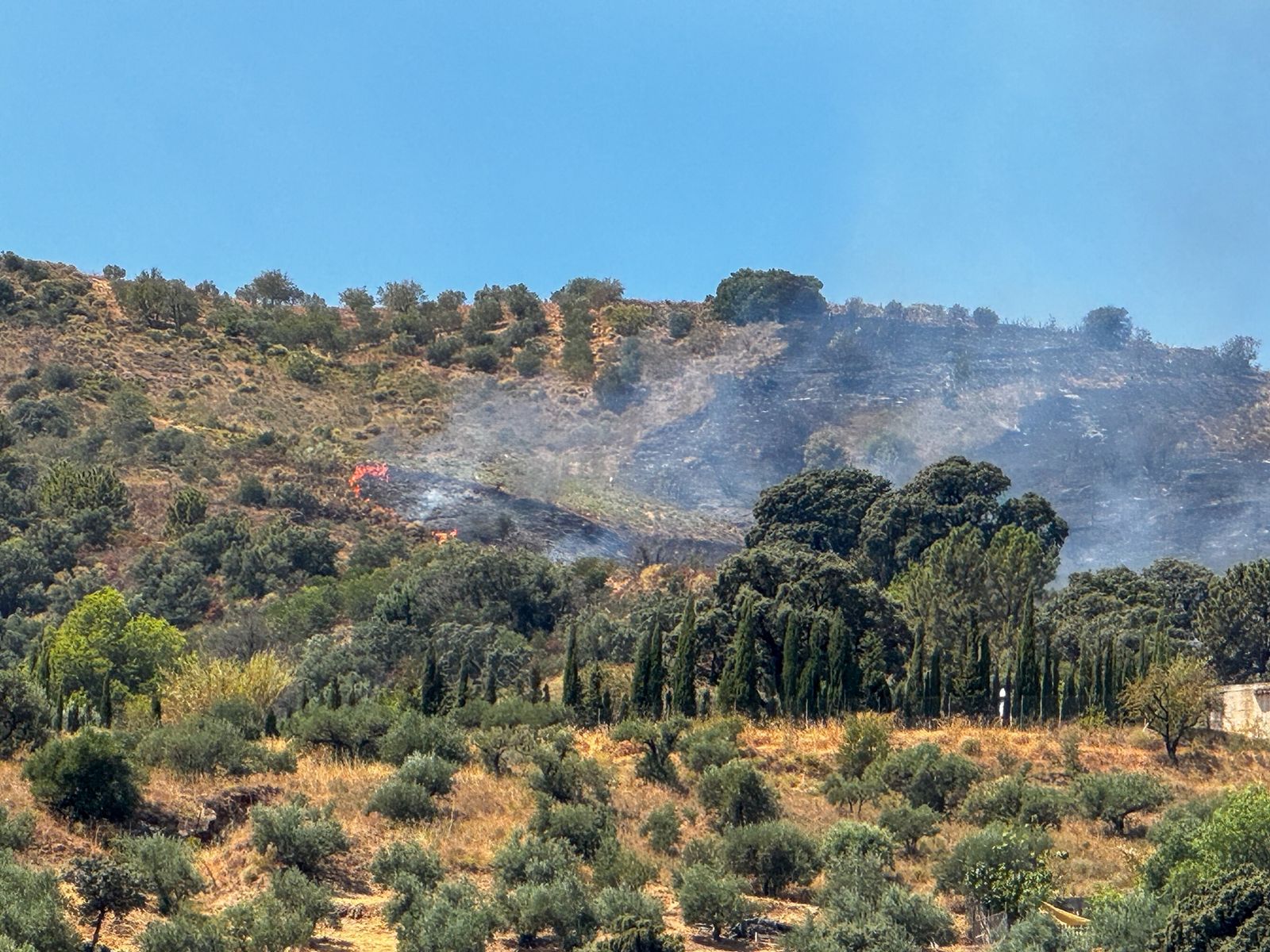 El trabajo para controlar el incendio de Almuñécar, en imágenes