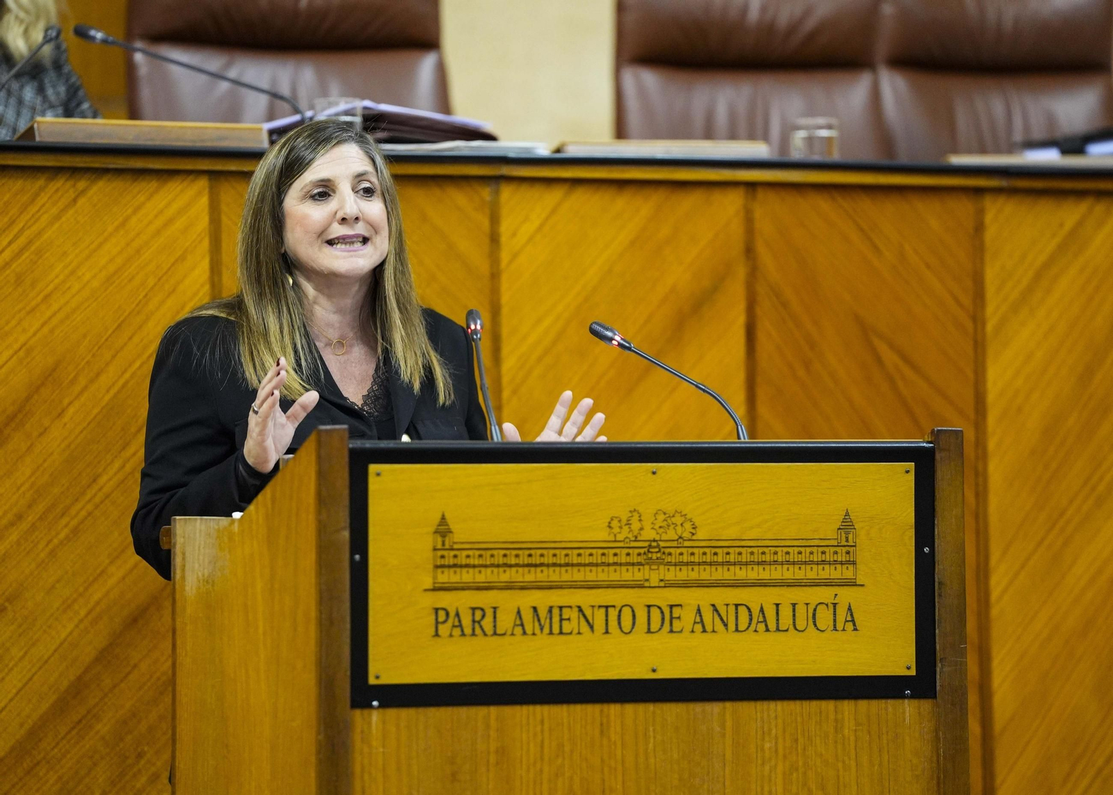 La diputada socialista, Irene García.