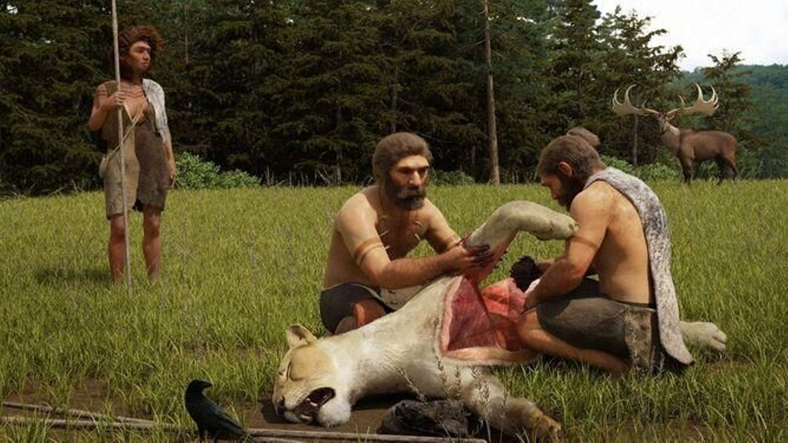 Recreación de Neandertales despiezando un león de las cavernas