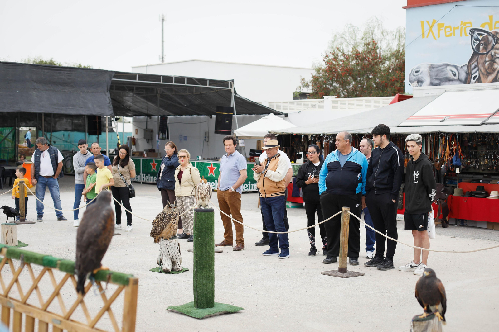 Galería de la Feria  de ganado en Tarambana