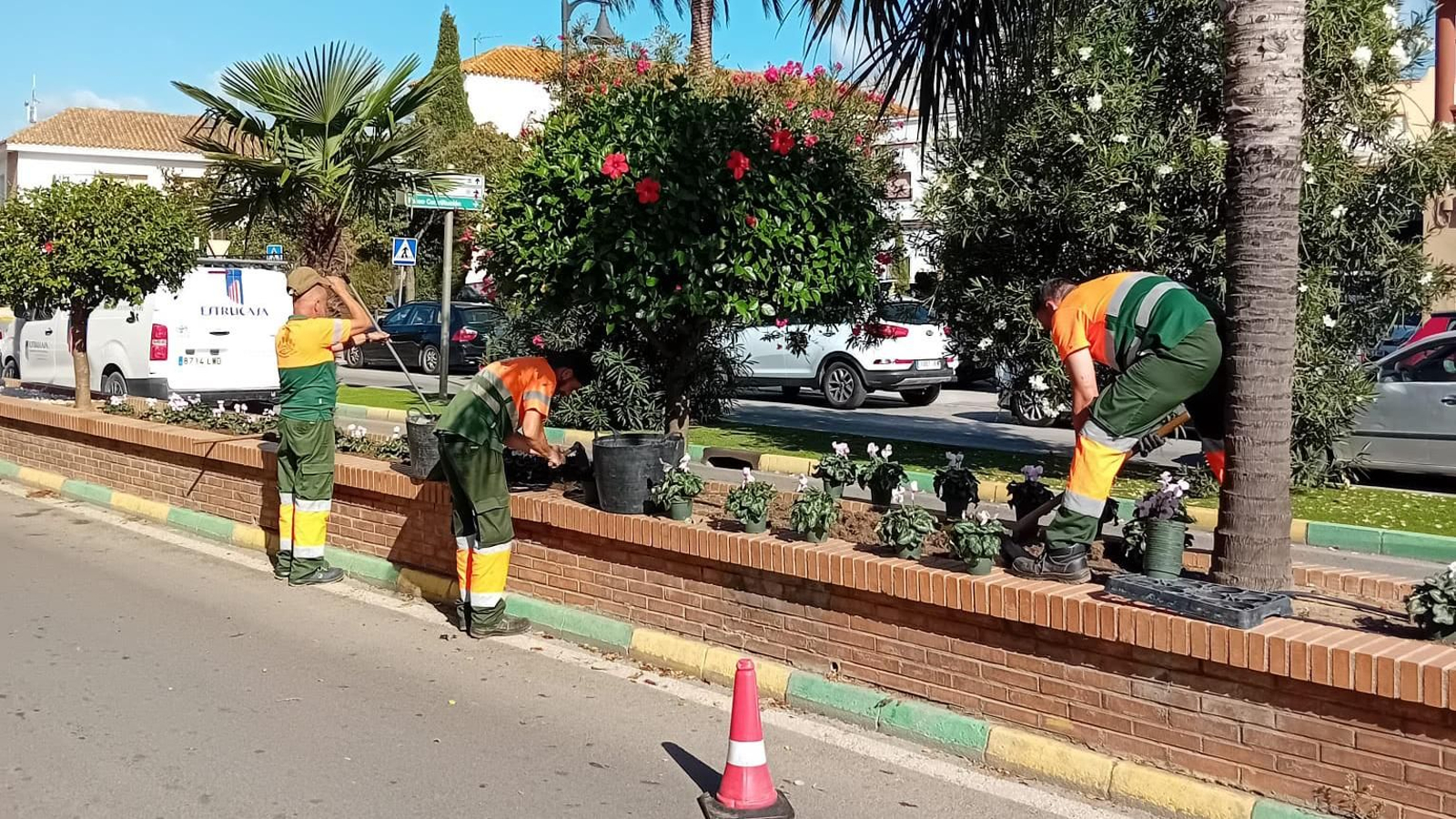 La plantación de flores de temporada.