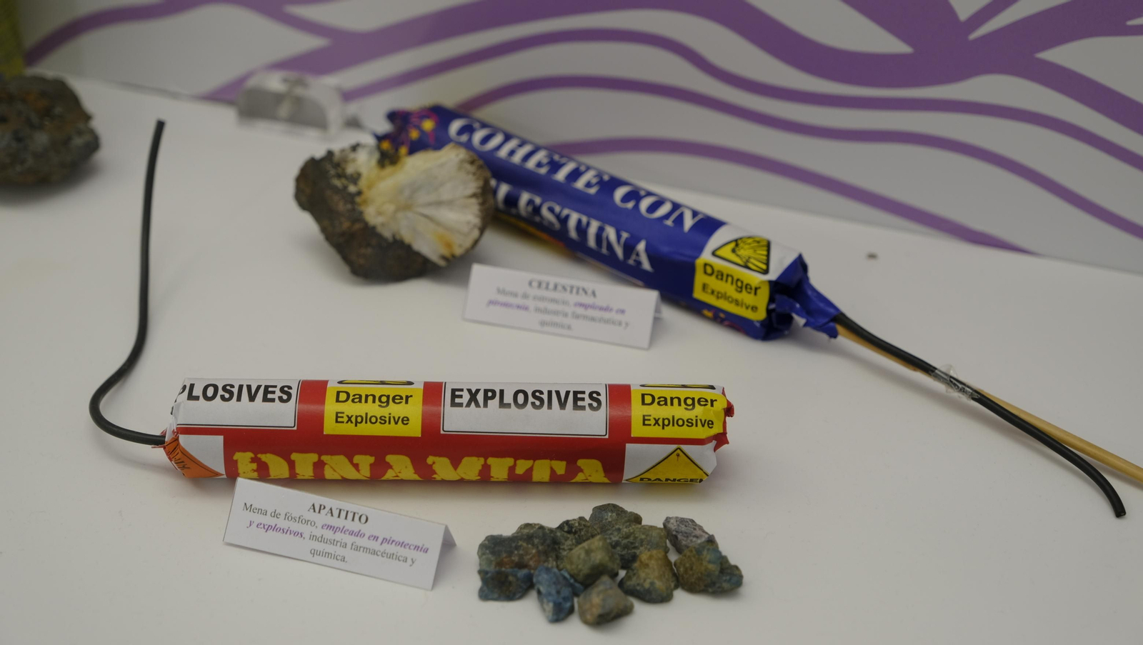 Descubre en estas fotos las maravillas que esconde el Pabellón de Historia Natural de la UAL