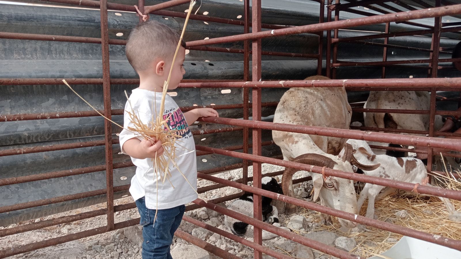 Impulsando la cultura emprendedora jugando a ser empresario.