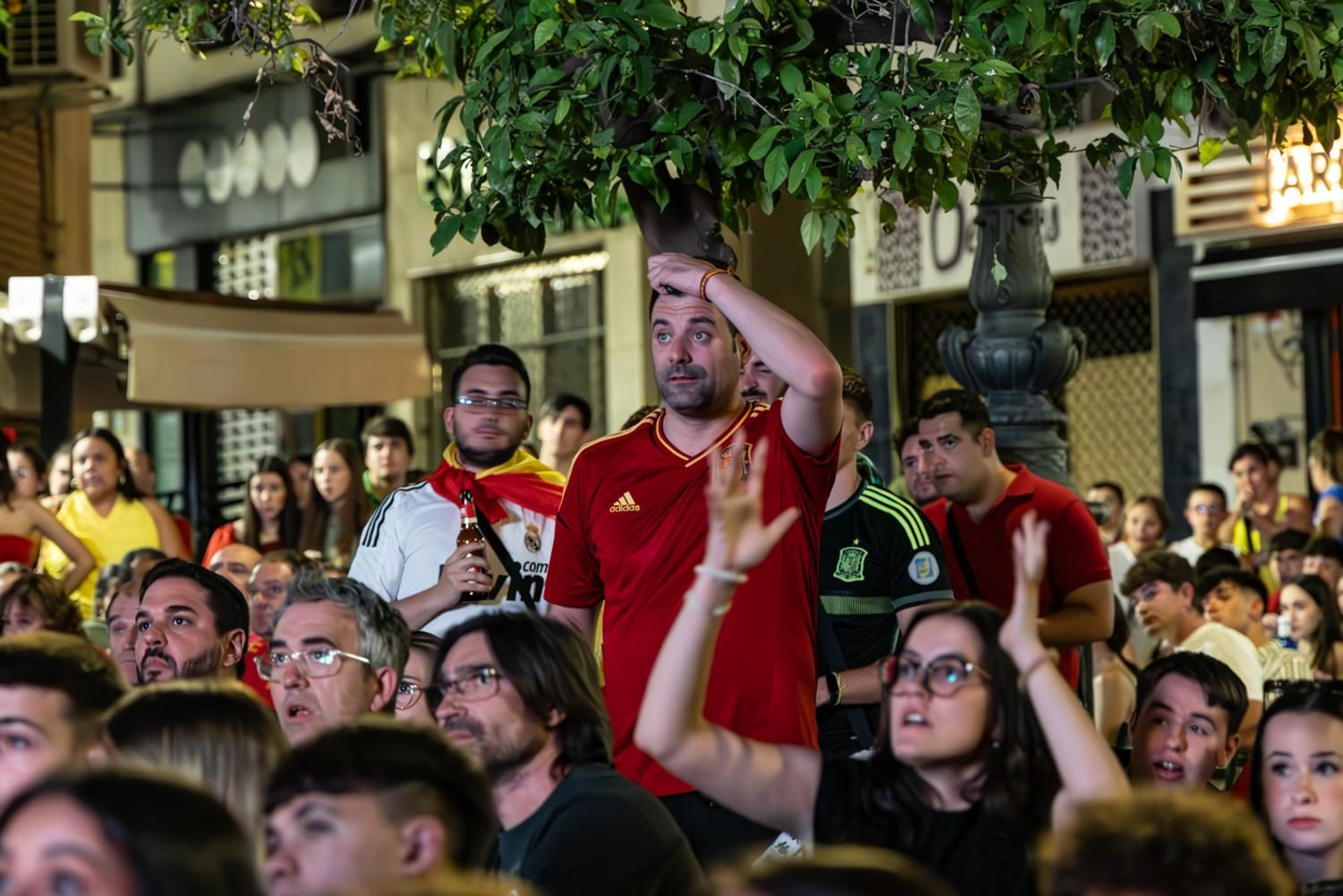 La euforia jiennense por la victoria de España, imágenes