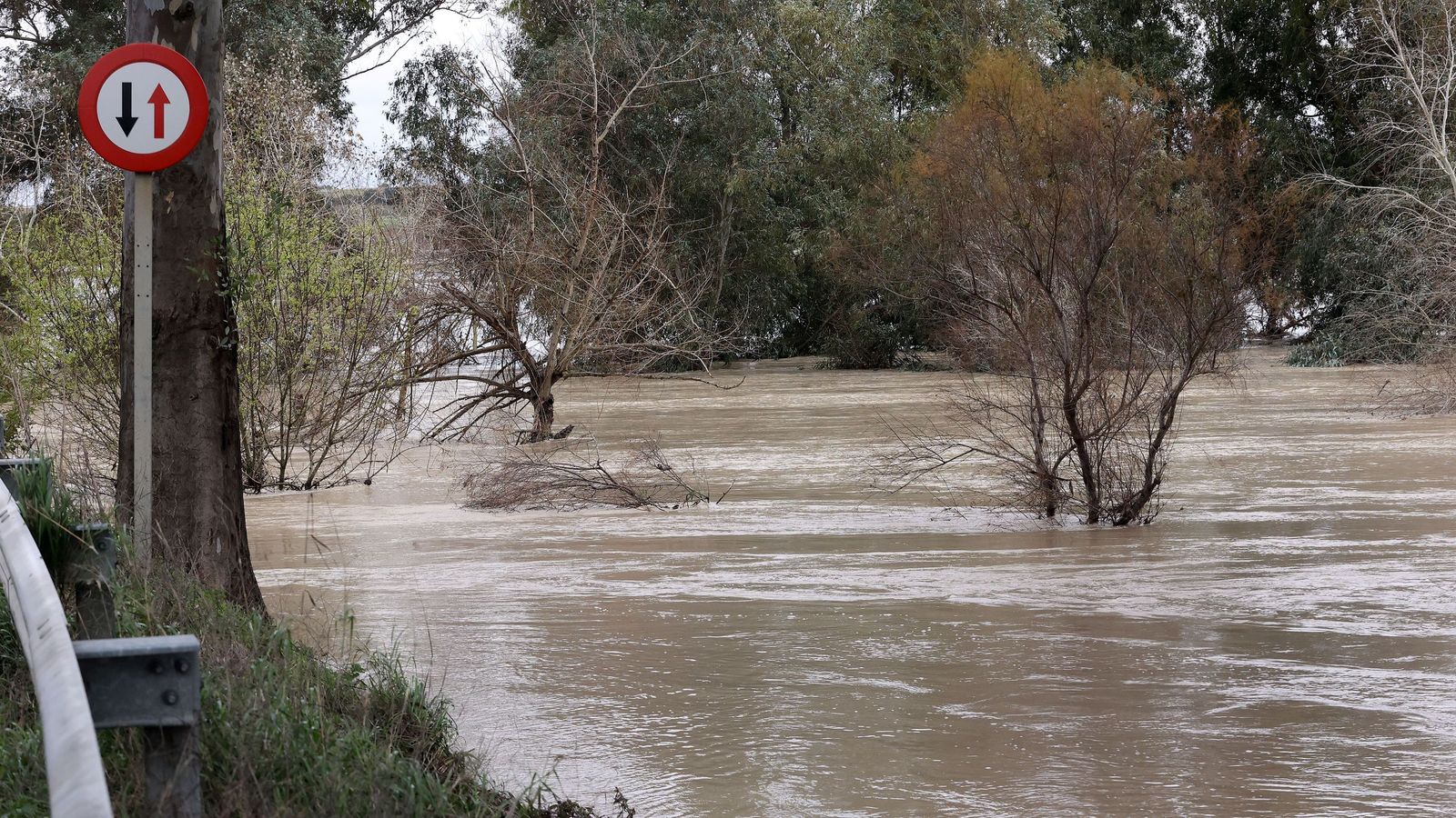 El Guadalete comienza a bajar su nivel poco a poco por la zona rural de Jerez