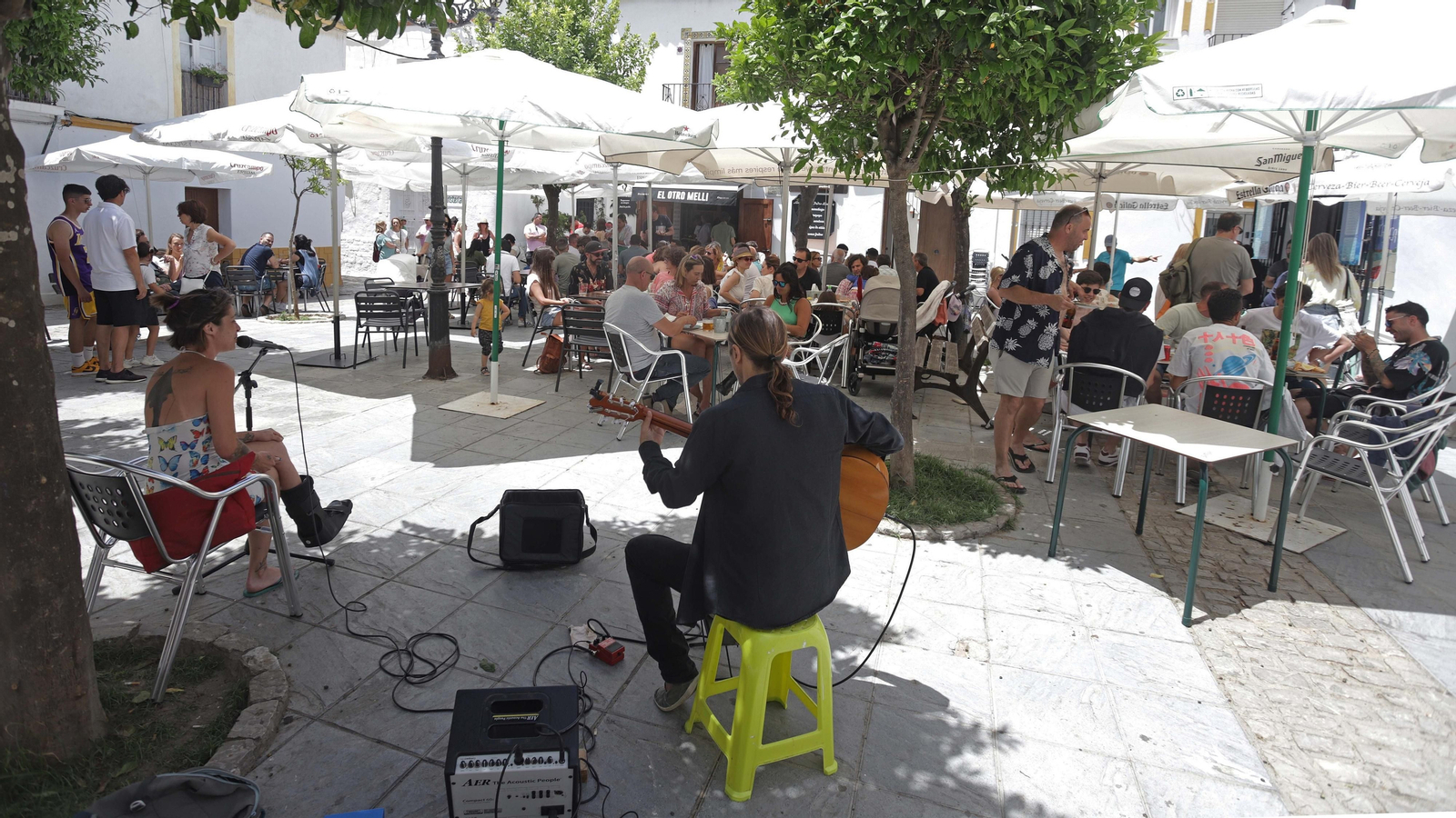 Fotos de la VIII Ruta del Atún Rojo en Tarifa