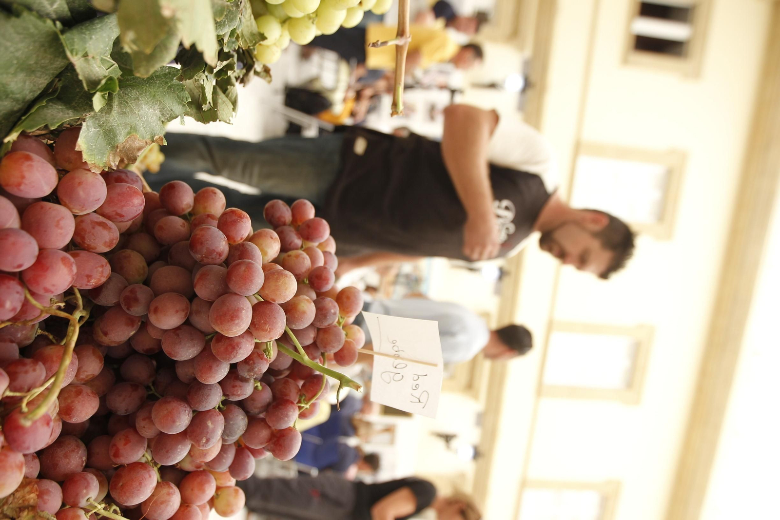 Las imágenes de la XIII Muestra de Variedades Históricas de Uvas de Mesa de la Provincia