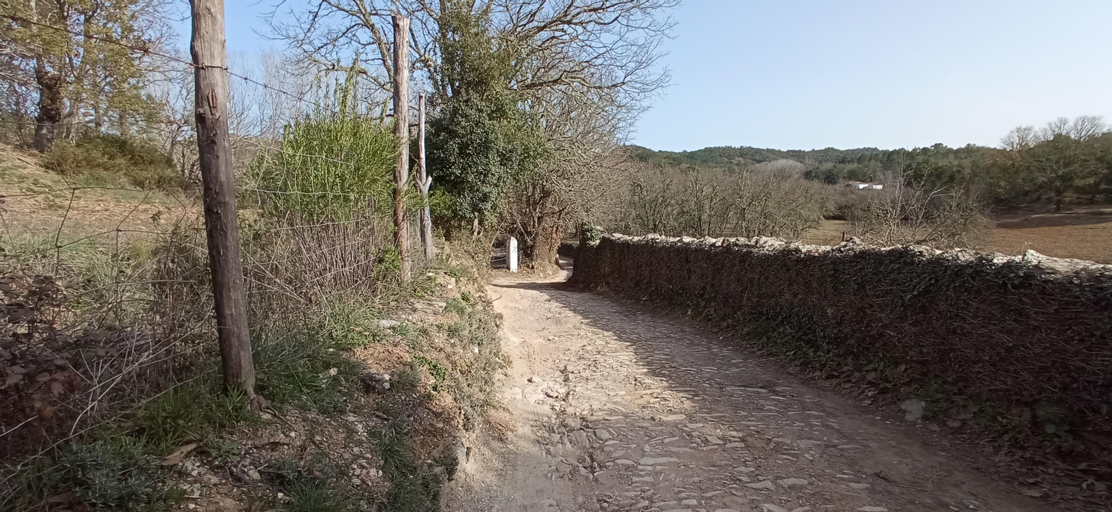 Las imágenes de la ruta de la Dehesa de Valdelama: De Los Marines a Fuenteheridos y vuelta