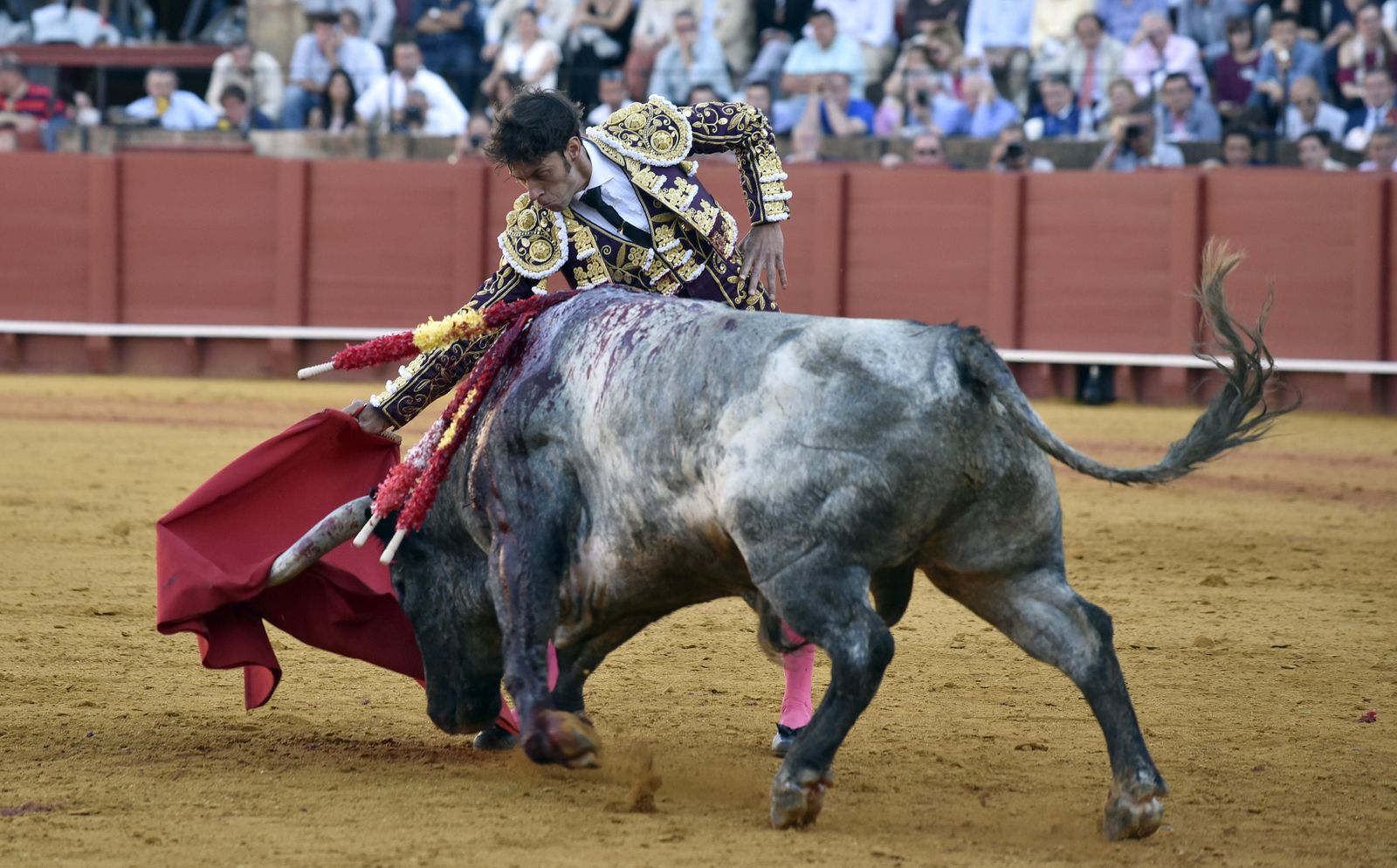 La 14ª de abono en la Real Maestranza de Sevilla, en imágenes