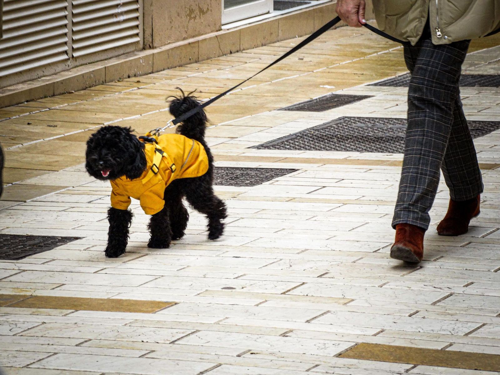 Fotos de ambiente durante la mañana en las calles del centro