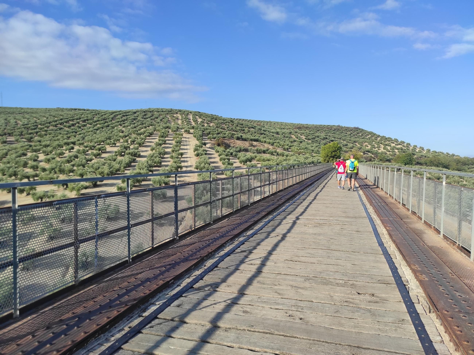 De Torredelcampo a Porcuna por la Vía Verde del Aceite: túneles, pasarelas y arte