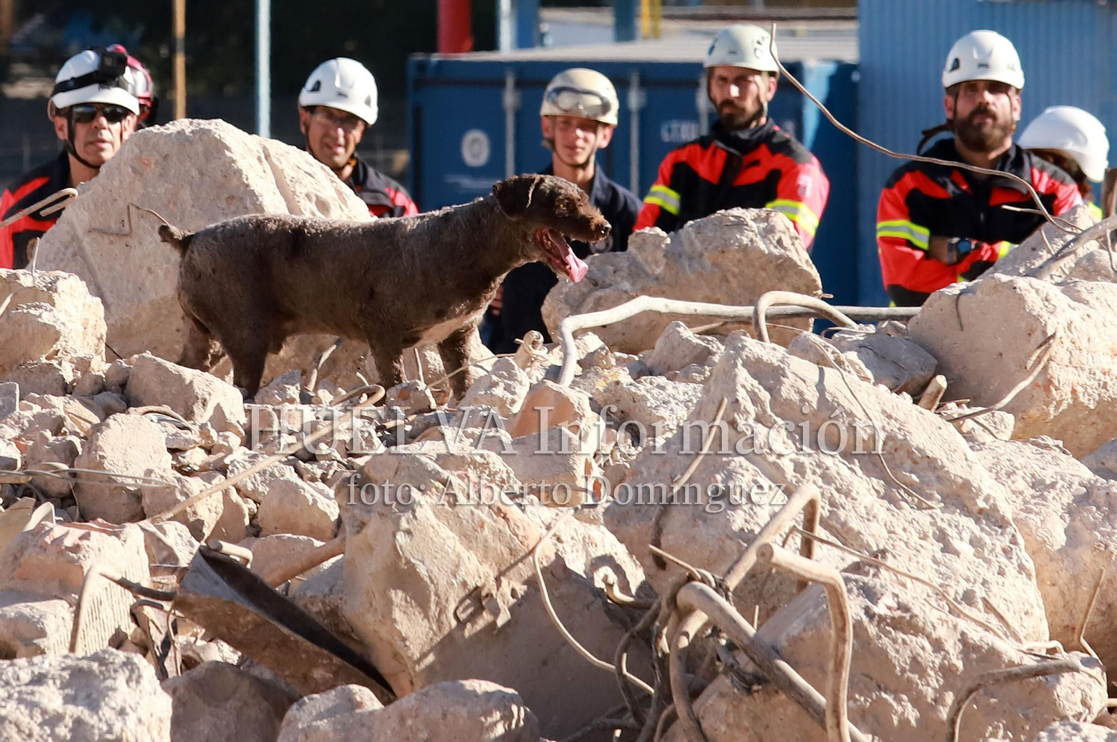 Imágenes del simulacro de los Bomberos de Huelva con la Unidad Canina