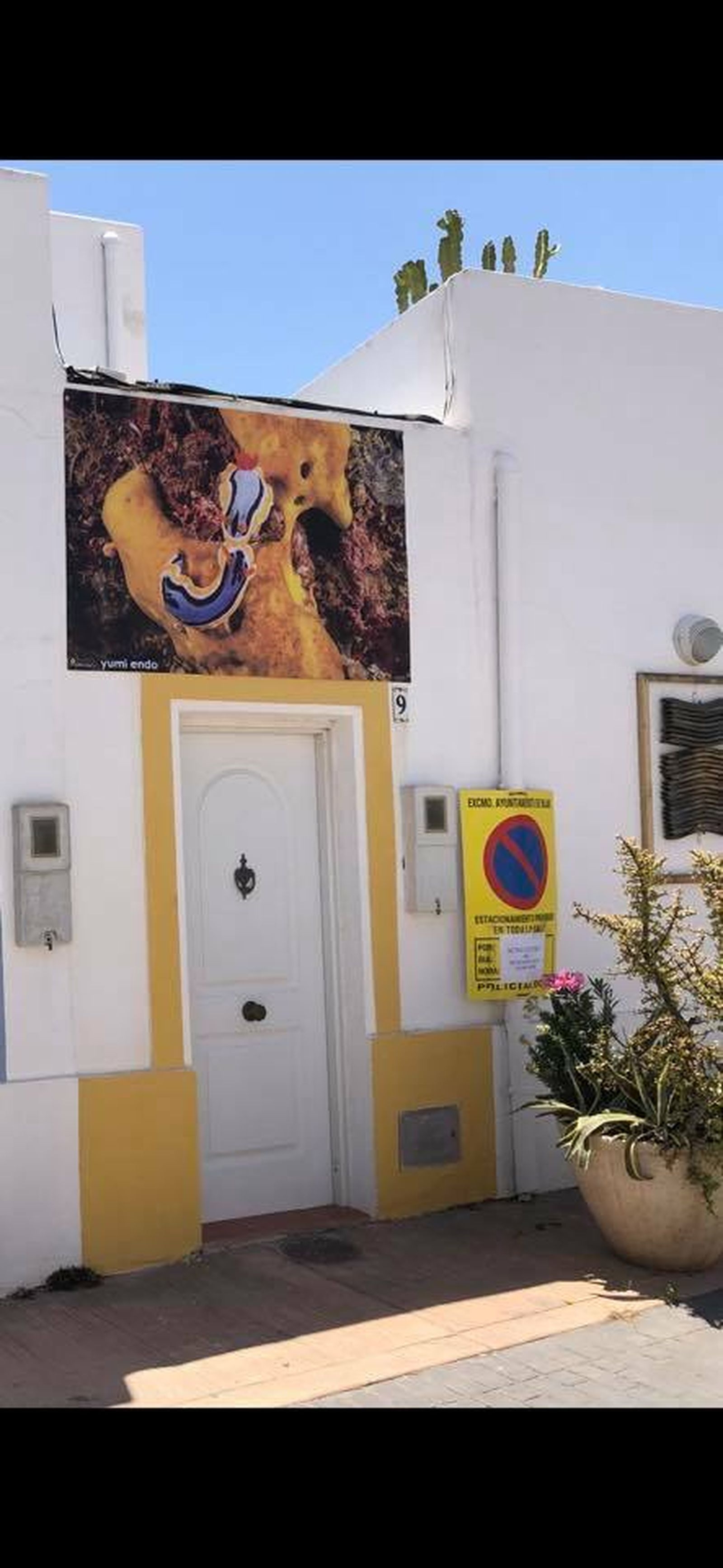 El artista  Yumi Endo presenta un nudibranquios.