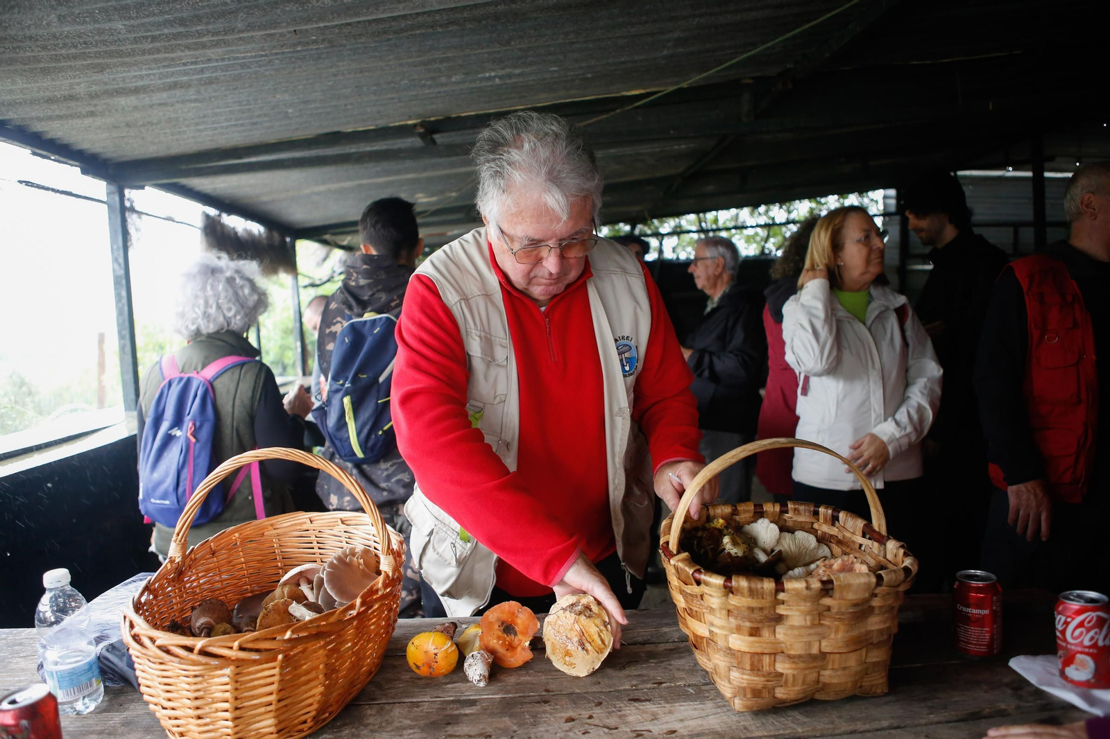 Las fotos de las XII Jornadas Micológicas del Estrecho en Los Barrios