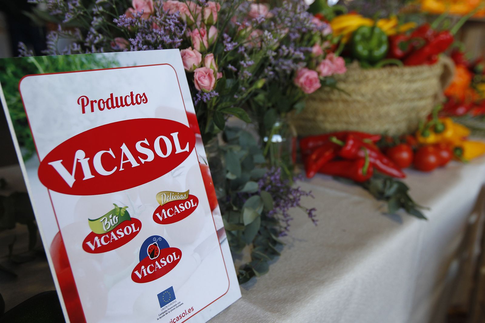 Fotogalería nuevas instalaciones Vicasol 3 en El Ejido