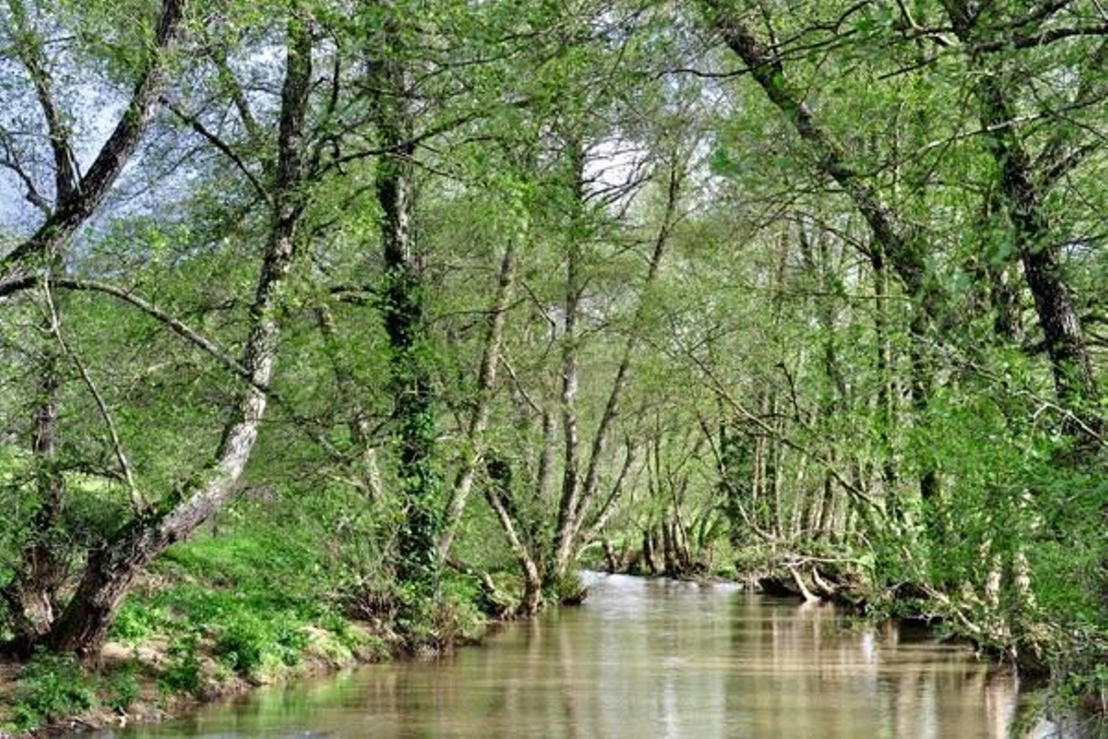 Pinceladas de Historia y Sostenibilidad