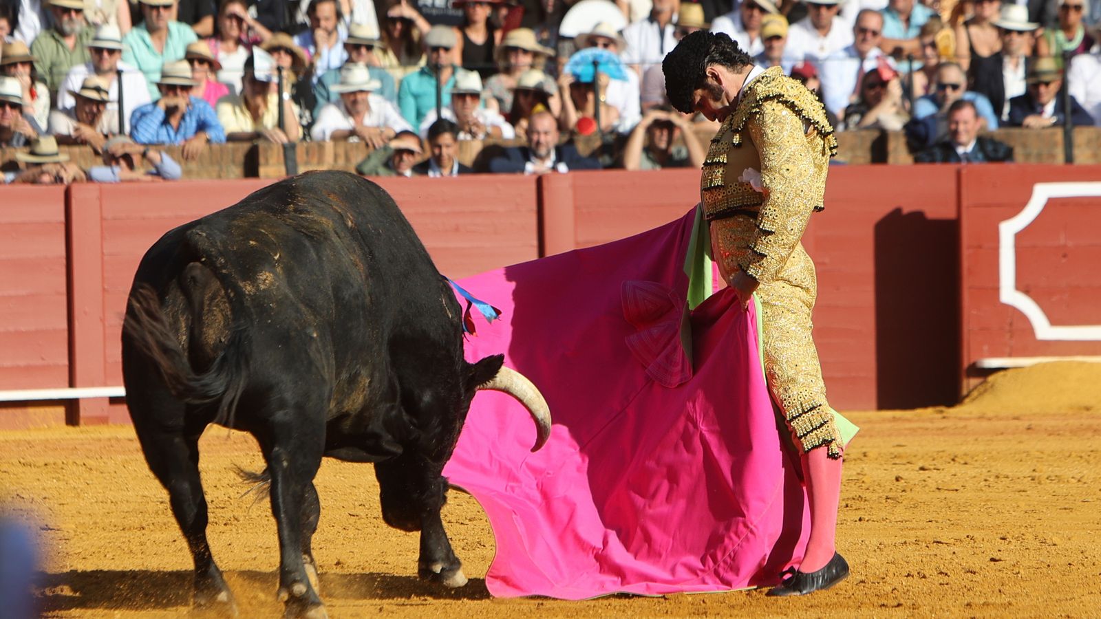 Morante lancea de capa a su segundo, que se acabó pronto en la muleta.