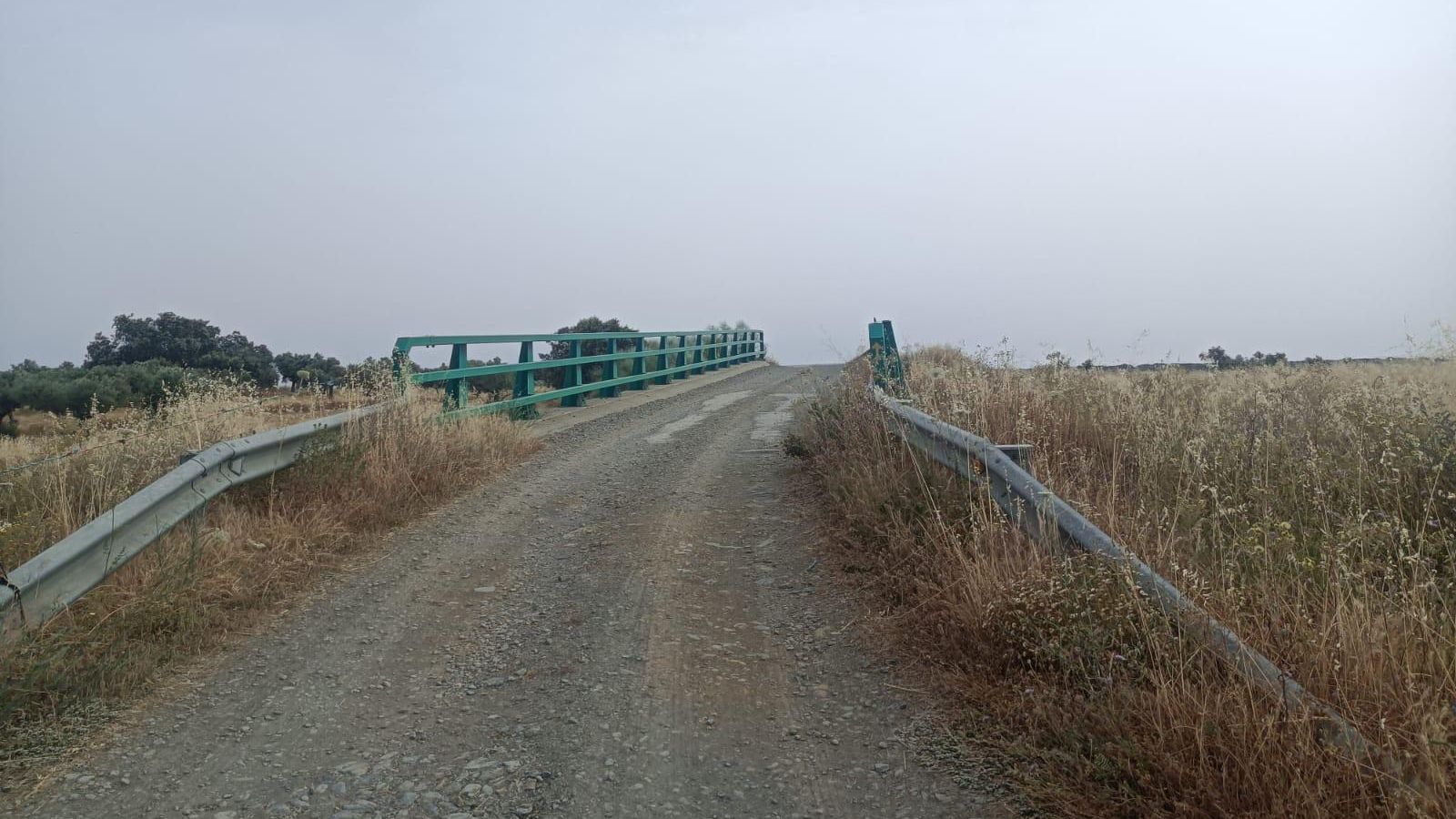 Puente sobre la carretera EX-201.