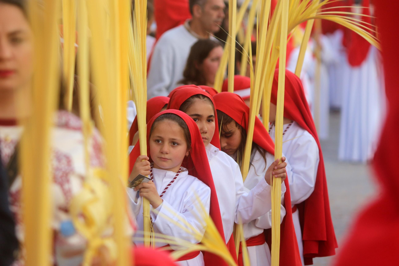 Domingo de Ramos en Puerto Real