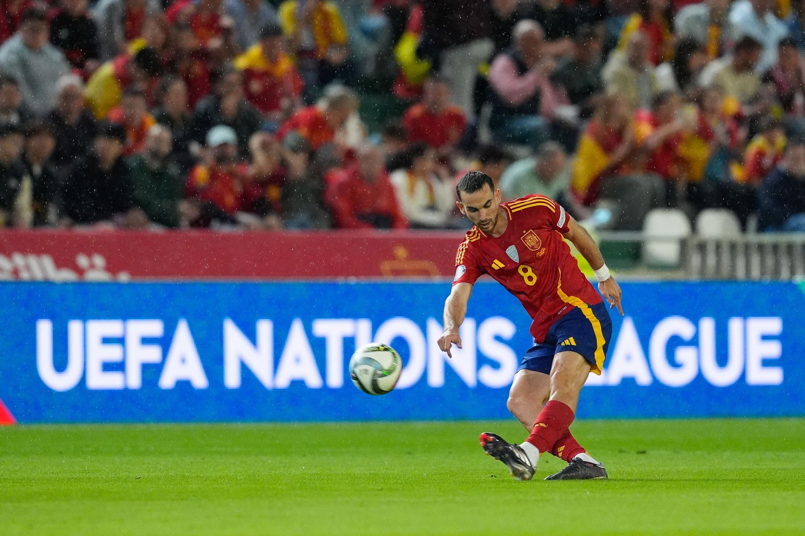 Las fotos del España - Serbia en Córdoba