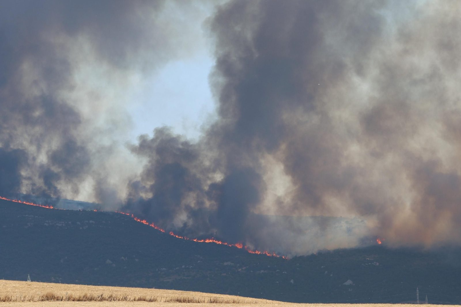 Las fotos del incendio forestal en la Sierra de la Plata de Tarifa
