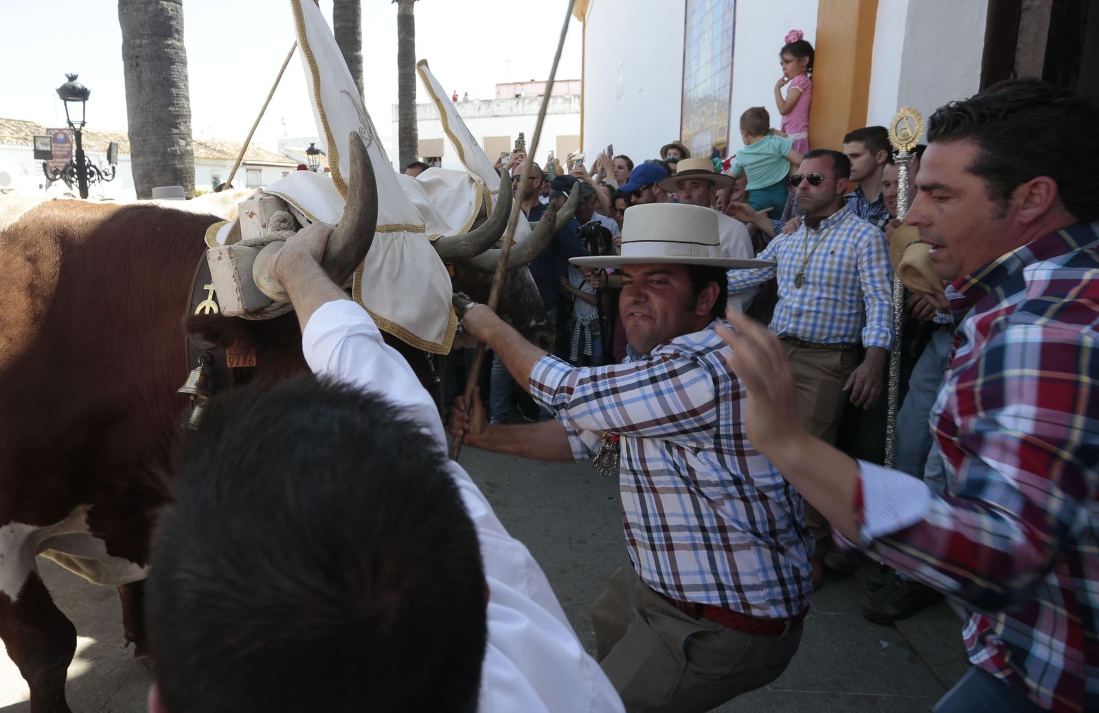 Paso de las hermandades por Villamanrique