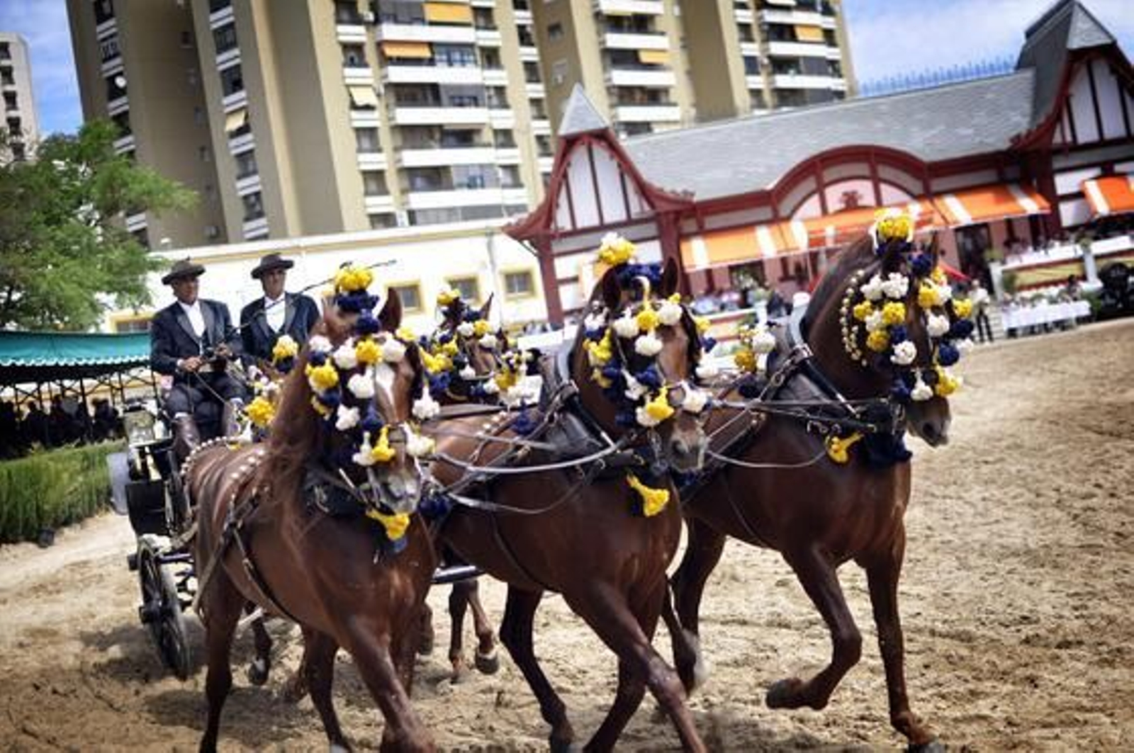 Con categoría. Espectacular exhibición de un enganche a la media potencia, ayer en Sementales.

Foto: Manu Garcia
