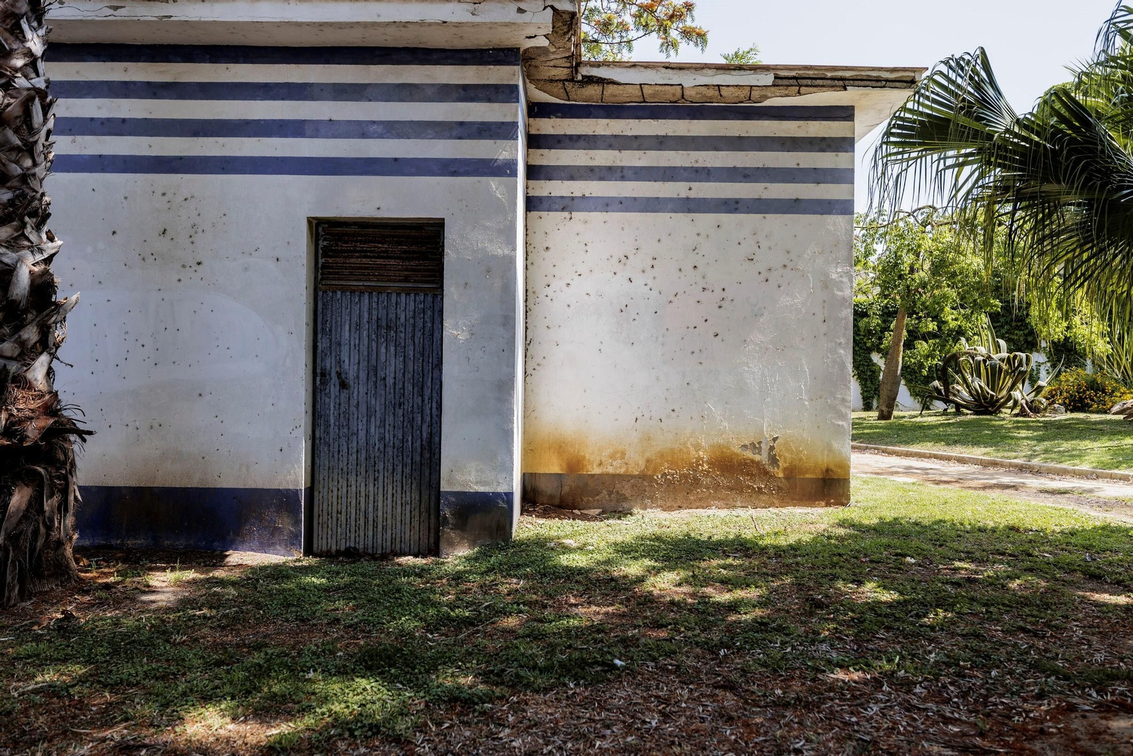Las zonas verdes menos verdes de la ciudad de Cádiz